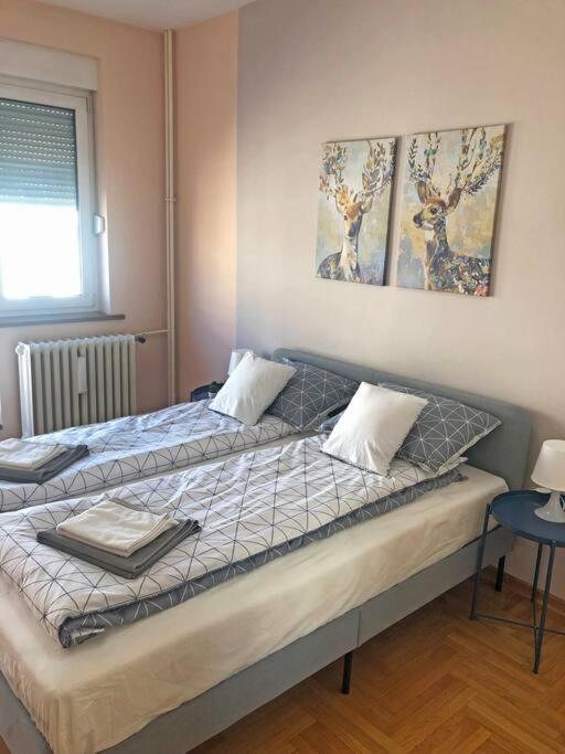 Quince Apartment-Free Parking-City Center Belgrad Exterior foto