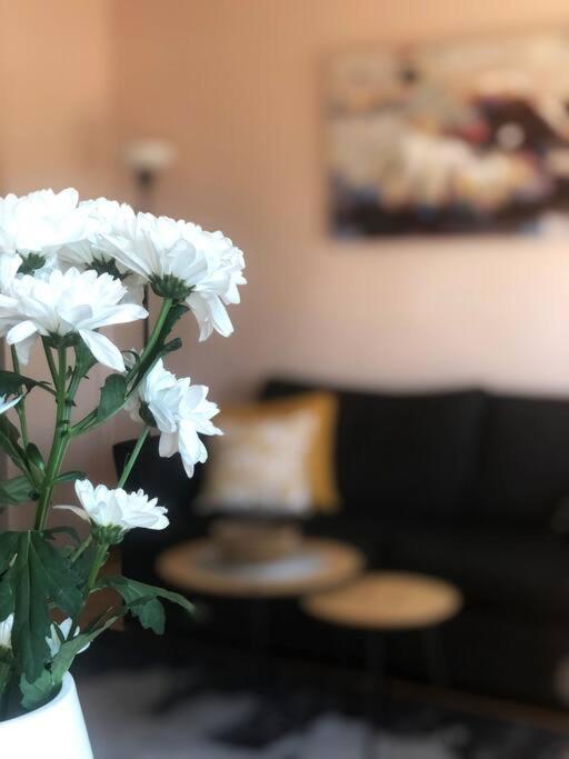 Quince Apartment-Free Parking-City Center Belgrad Exterior foto