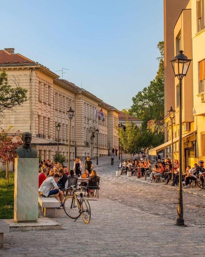 Quince Apartment-Free Parking-City Center Belgrad Exterior foto
